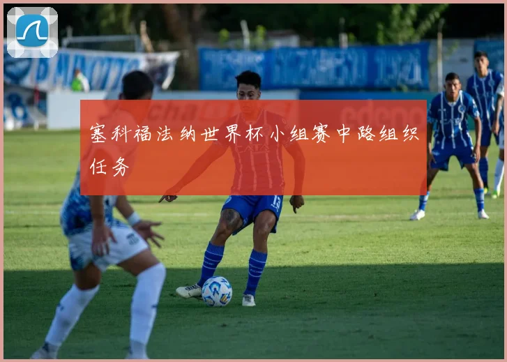 塞科福法纳世界杯小组赛中路组织任务
