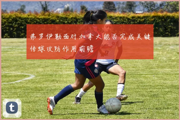 弗罗伊勒面对加拿大能否完成关键传球攻防作用前瞻