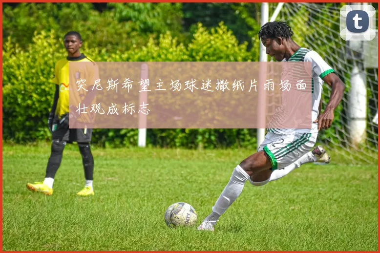 突尼斯希望主场球迷撒纸片雨场面壮观成标志