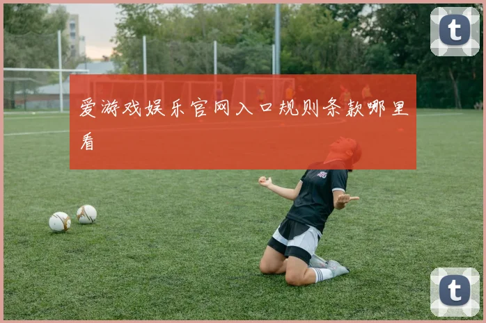 爱游戏娱乐官网入口规则条款哪里看