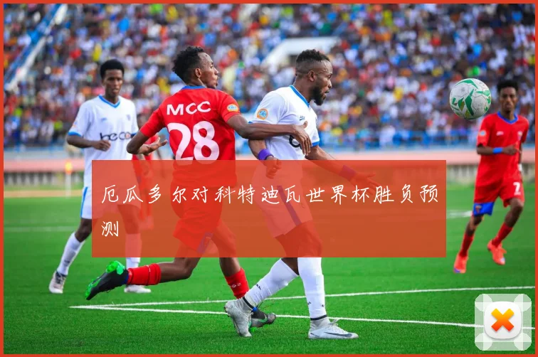 厄瓜多尔对科特迪瓦世界杯胜负预测