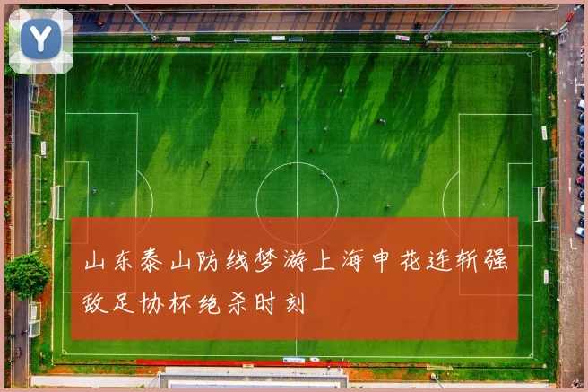 山东泰山防线梦游上海申花连斩强敌足协杯绝杀时刻
