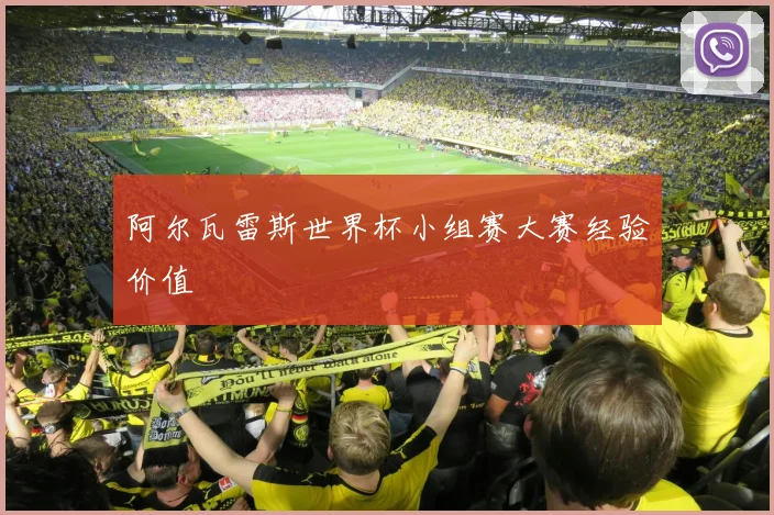 阿尔瓦雷斯世界杯小组赛大赛经验价值