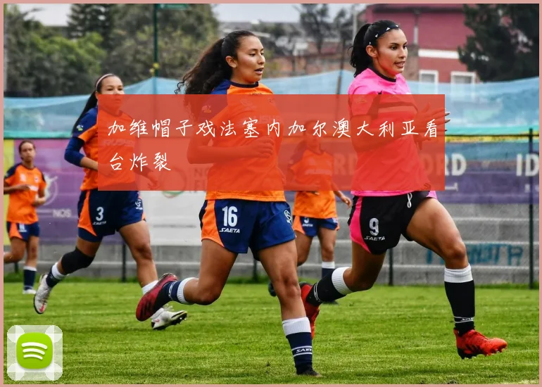 加维帽子戏法塞内加尔澳大利亚看台炸裂