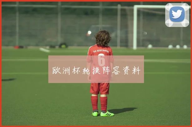 欧洲杯轮换阵容资料
