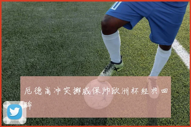 厄德高冲突挪威保帅欧洲杯经典回眸